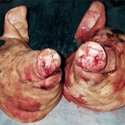 Armand Hammer & the Alchemist - Haram