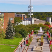 Stony Brook University