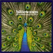 The Bluetones - Expecting to Fly