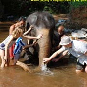 Konni Elephant Training Centre