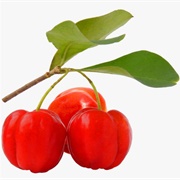 Acerola Cherry