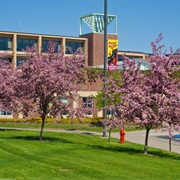 University of Minnesota Duluth