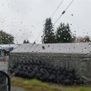 Watching the Raindrops Win the Race