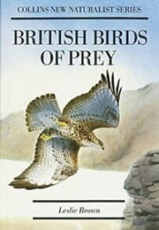 British Birds of Prey (Brown, L)