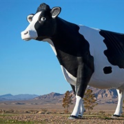 The Big Bovine of Amargosa