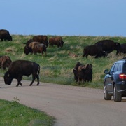 Sage Creek Rim Road, Badlands National Park