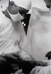 The Real Miss America (Fonda) (1952)