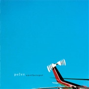Pelvs – Anotherspot