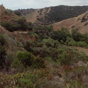 Turnbull Canyon