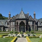 "Grow Your Own Castle" Kit