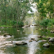 Chinnar Wildlife Sanctuary