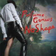 No Shape (Perfume Genius, 2017)