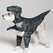 T-Rex Doggie