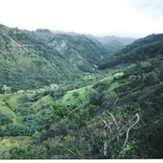 Mililani Kipapa Gulch