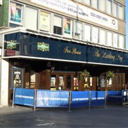 The Barking Dog - Barking