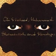 Shaheedullah and Stereotypes (Ali Shaheed Muhammad, 2004)