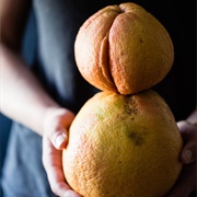 Ugly Grapefruit