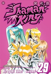 Shaman King Volume 29 (Hiroyuki Takei)