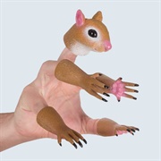 Squirrel Finger Puppet
