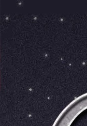 The Chosen (Taran Matharu)