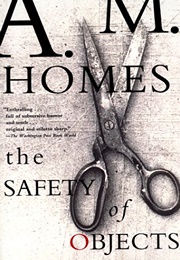 The Safety of Objects (A.M. Homes)