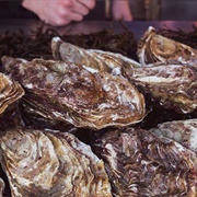 Coffin Bay King Oysters