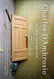 The Scheme of Things (Charles D'Ambrosio)