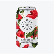 Forage Raspberry Kombucha