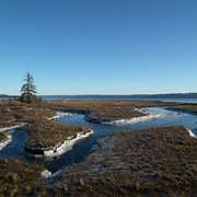 Dosewallips State Park