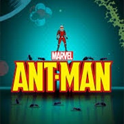 Ant Man Shorts