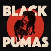 Black Pumas - Touch the Sky