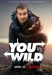 You vs. Wild (2019)