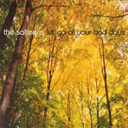 Time You Have Been Wasting - The Salteens