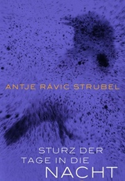 Sturz Der Tage in Die Nacht (Antje Rávik Strubel)