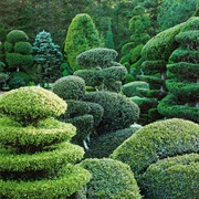 Pearl Fryer Topiary, SC