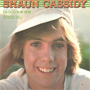 Shaun Cassidy - Shaun Cassidy