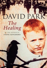 The Healing (David Park)