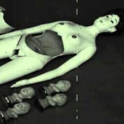 Japanese Obstectrical Model