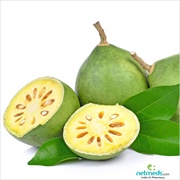 Bael Fruit