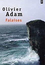 Falaises (Olivier Adam)