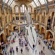 Natural History Museum, London, England