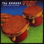 The Bongos- Drums Along the Hudson