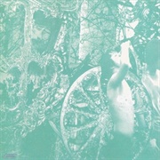 Deerhunter - Weird Era Cont.