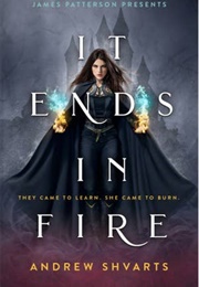 It Ends in Fire (Andrew Shvarts)