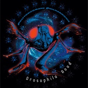 Polytoxicomane Philharmonie - Drosophila Road