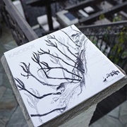 Kayo Dot - A Pitcher of Summer