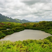 Menehune Fishpond