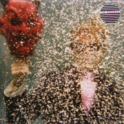 Ty Segall - Ty Segall - 2007