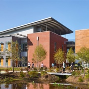 Virginia Wesleyan University