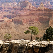 Grand Canyon State